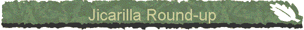 Jicarilla Round-up