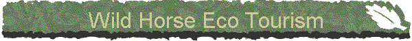 Wild Horse Eco Tourism