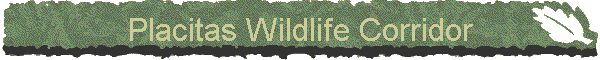 Placitas Wildlife Corridor