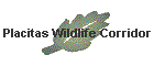 Placitas Wildlife Corridor