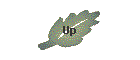 Up